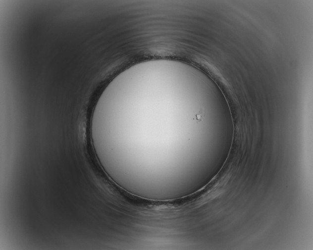 X0000089930446200706290759