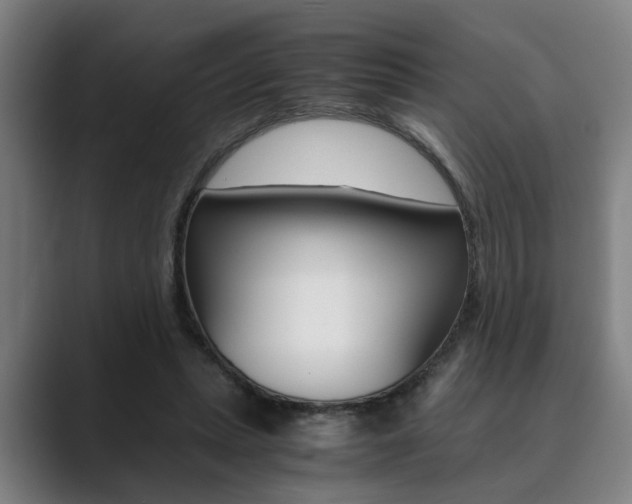 X0000089930447200706290759