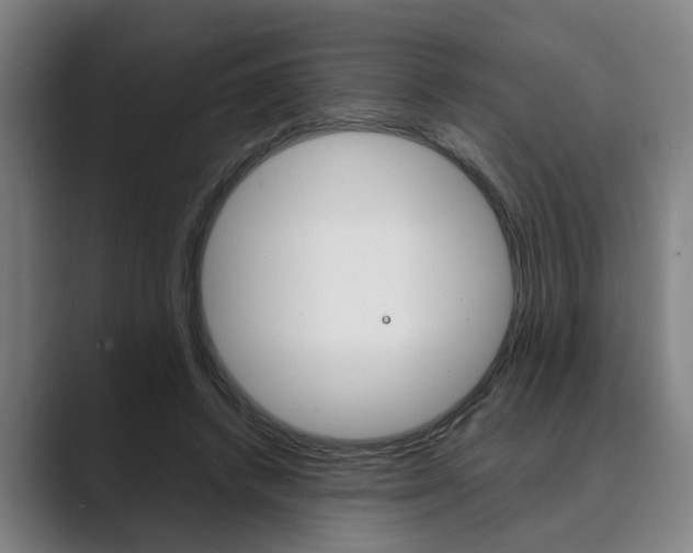 X0000089930448200706290759