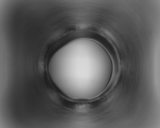 X0000089930452200706290759