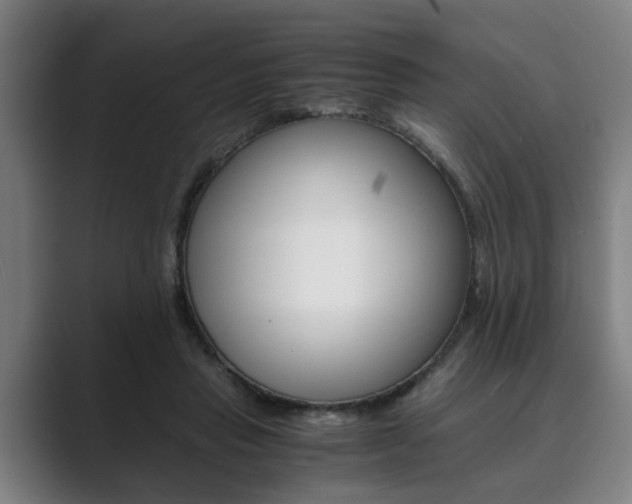 X0000089930453200706290759