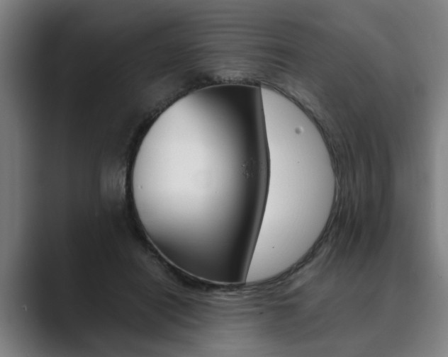 X0000089930454200706290759