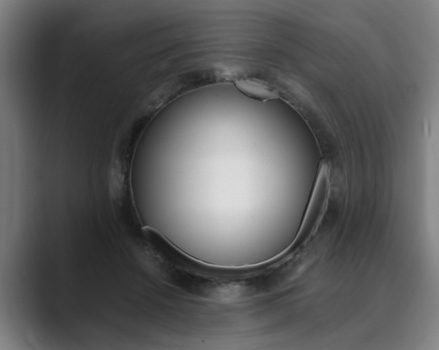 X0000089930456200706290759