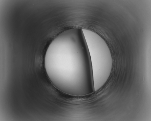 X0000089930458200706290759