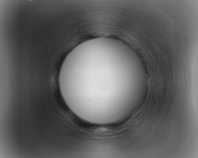 X0000089930460200706290759