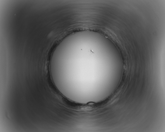 X0000089930462200706290759