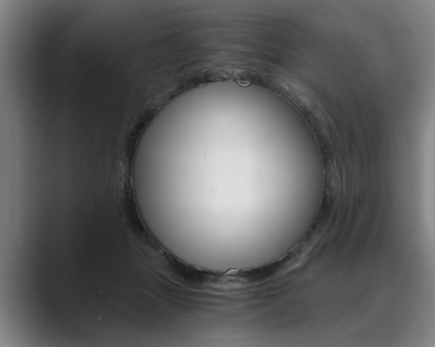 X0000089930463200706290759