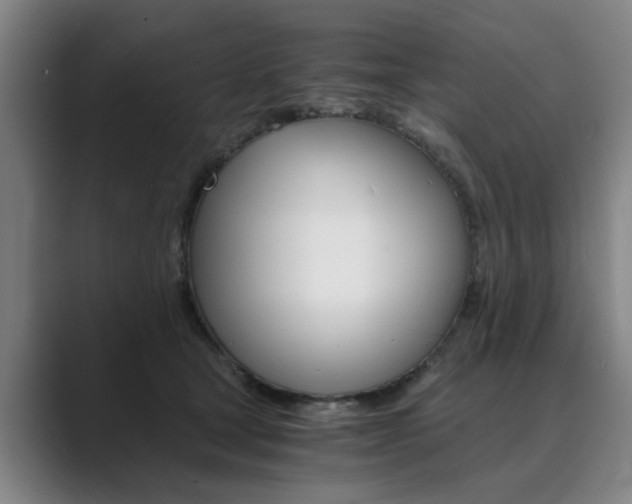 X0000089930465200706290759