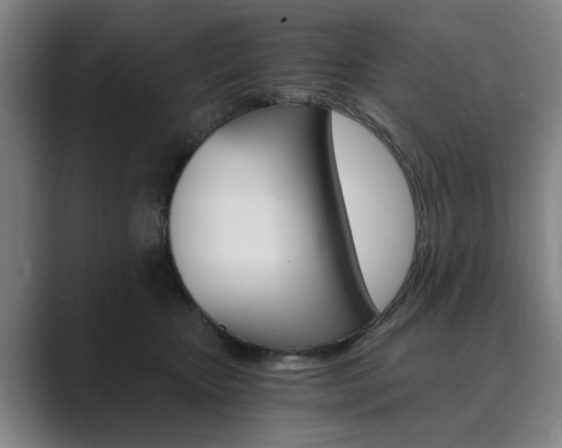 X0000089930467200706290759