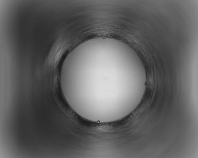 X0000089930468200706290759