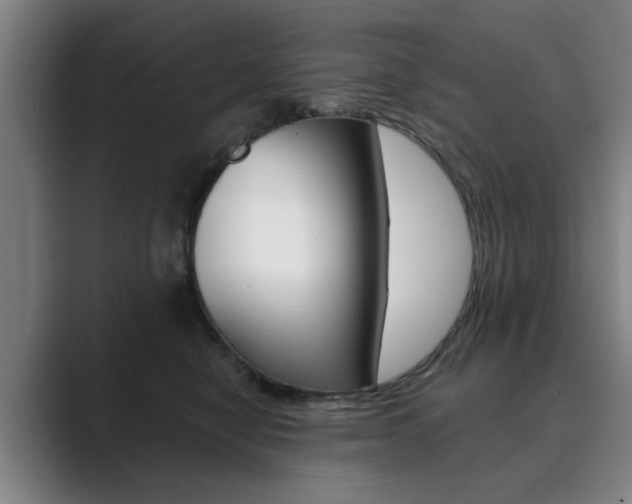 X0000089930470200706290759