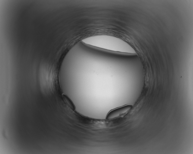 X0000089930473200706290759