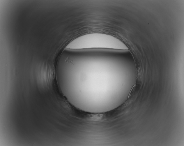 X0000089930474200706290759