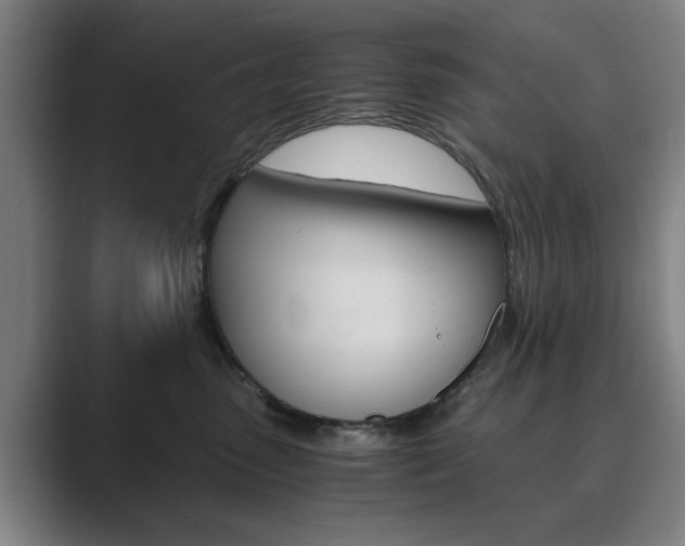 X0000089930475200706290759
