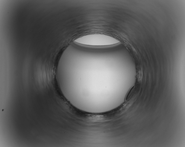 X0000089930476200706290759