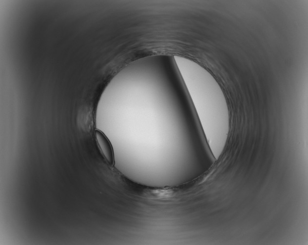 X0000089930478200706290759