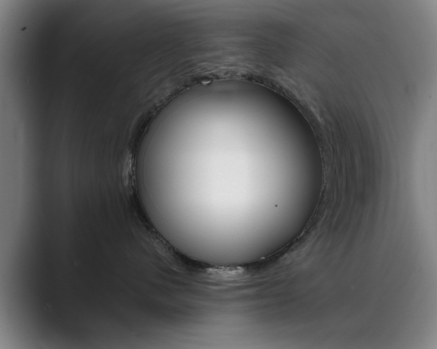 X0000089930480200706290759