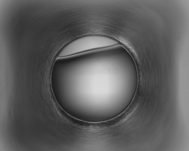 X0000089930481200706290758