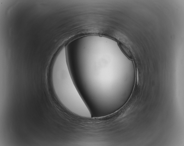 X0000089930483200706290758