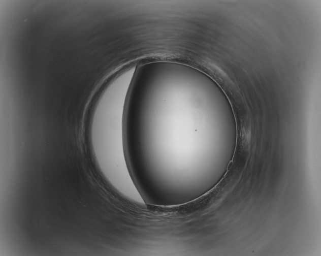 X0000089930484200706290758