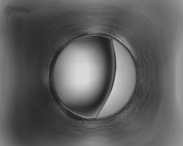 X0000089930485200706290758