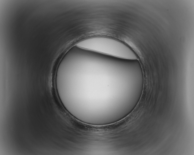 X0000089930486200706290758