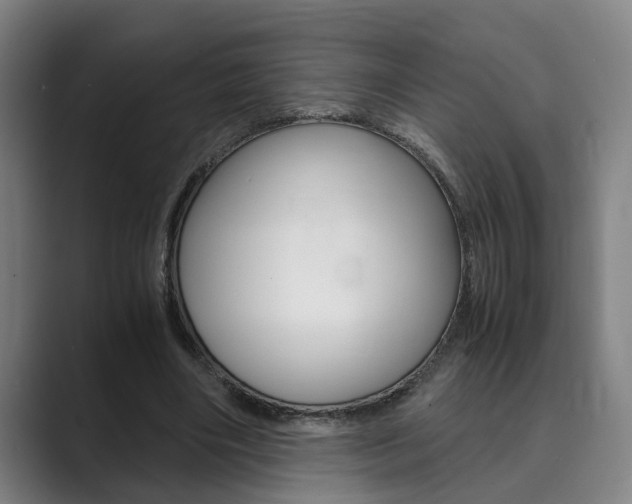 X0000089930490200706290758