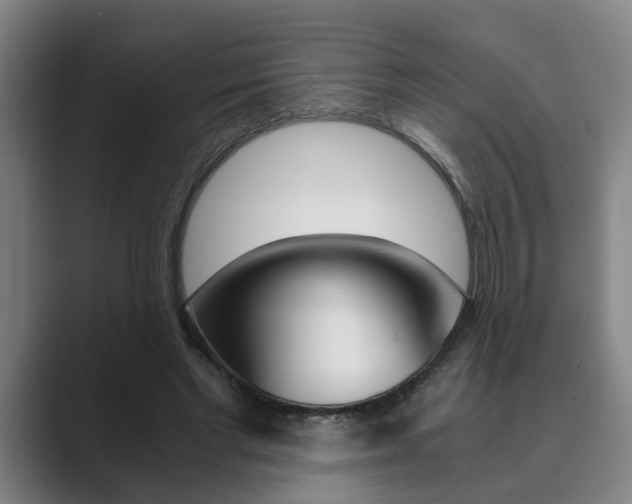 X0000089930493200706290758