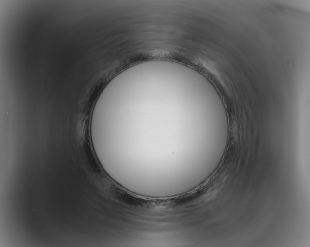 X0000089930495200706290758
