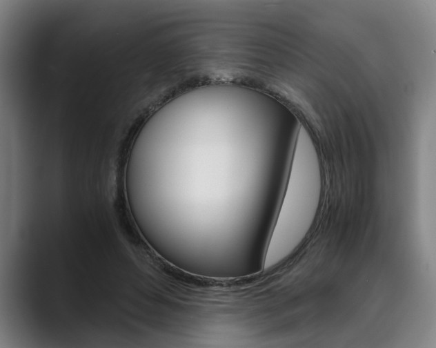X0000089930496200706290758