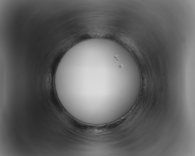 X0000089930498200706290758