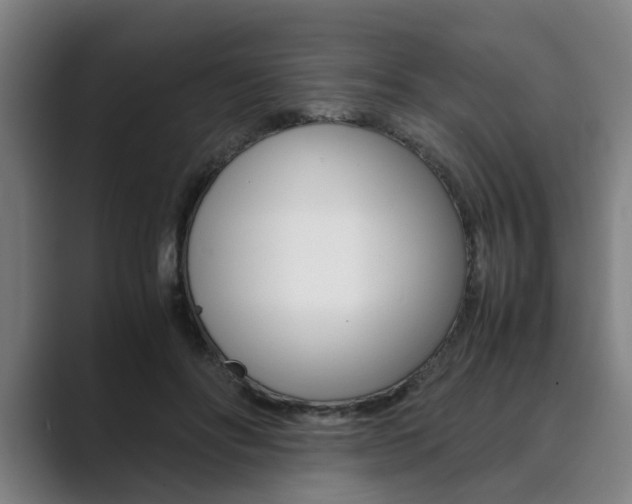 X0000089930502200706290758