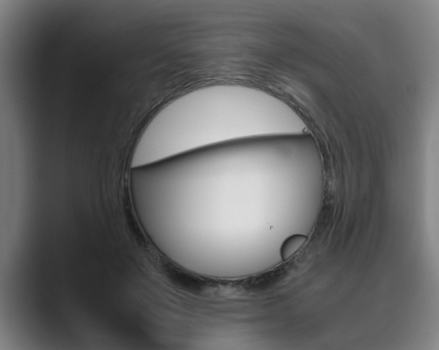 X0000089930503200706290758