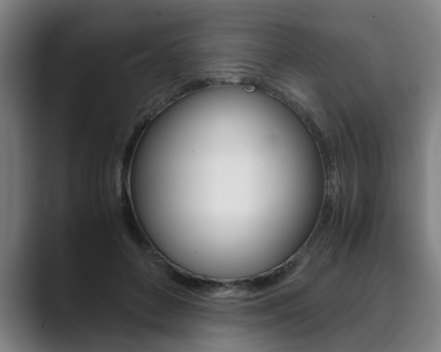 X0000089930504200706290758
