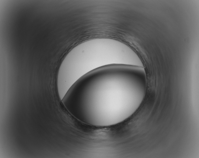 X0000089930505200706290758