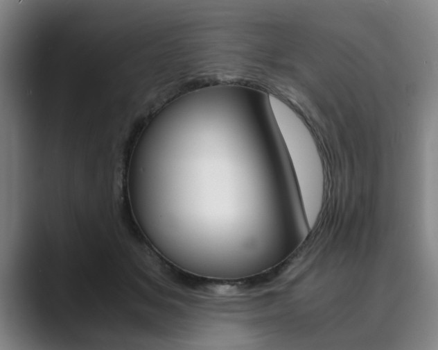 X0000089930509200706290758