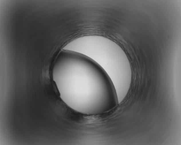X0000089930516200706290758