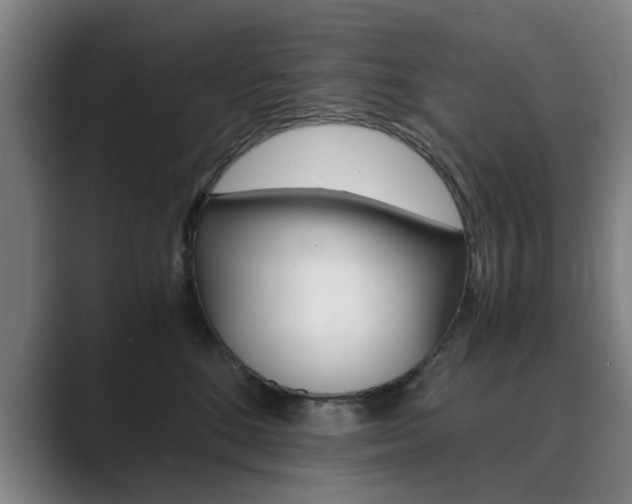 X0000089930520200706290758