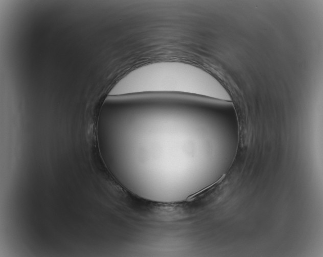 X0000089930521200706290758