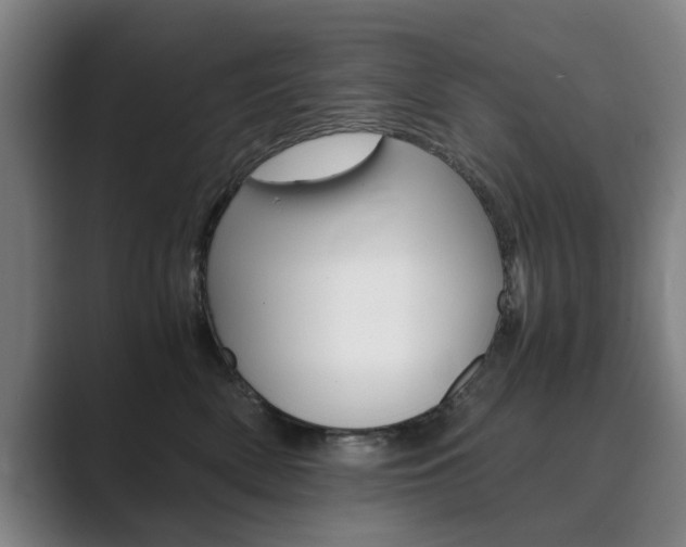 X0000089930522200706290758