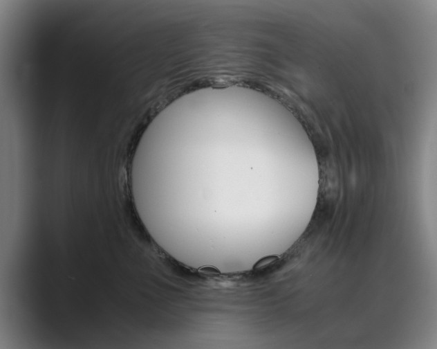 X0000089930523200706290758