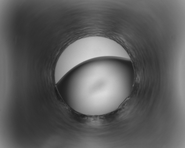 X0000089930524200706290758