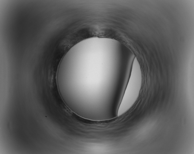 X0000089930525200706290758