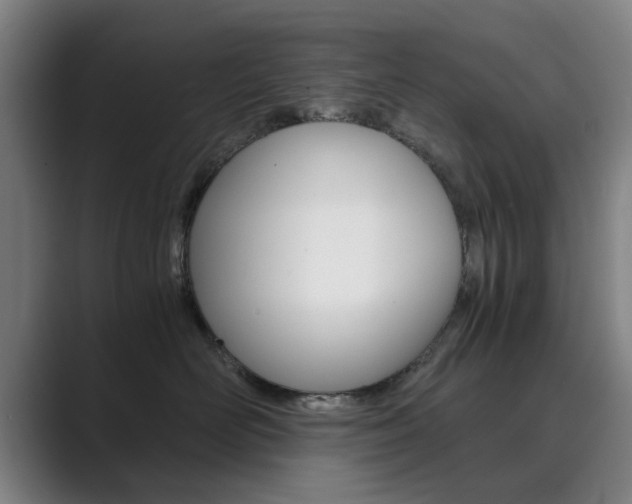 X0000089930526200706290758