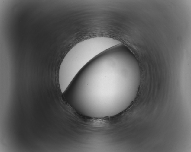 X0000089930528200706290758