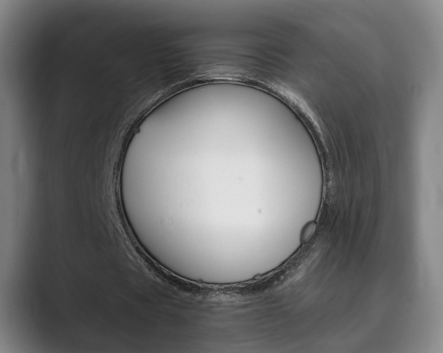 X0000089930529200706290757