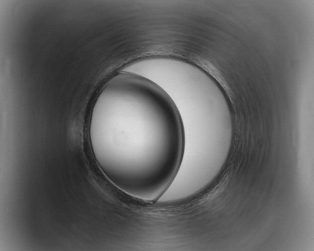 X0000089930530200706290757