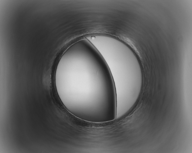 X0000089930531200706290757