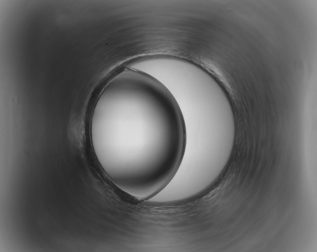 X0000089930532200706290757