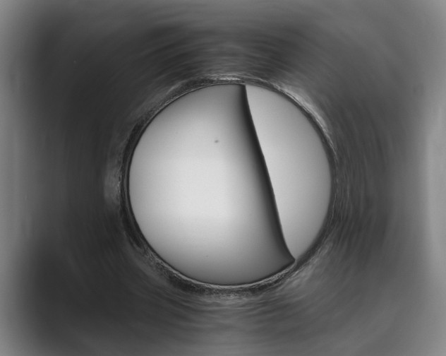X0000089930533200706290757